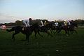 D-J1190-IMG_7868-4