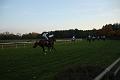 D-J1219-IMG_7897-4