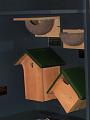 IMG_7929a
