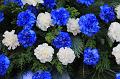 D-J4544-IMG_8858-5