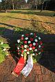 D-J4661-IMG_8975-5