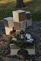 D-J4697-IMG_9011-5