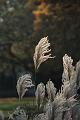 D-J4725-IMG_9039-5