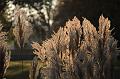 D-J4734-IMG_9048-5