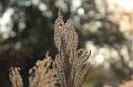 D-J4738-IMG_9052-5