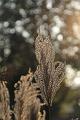 D-J4739-IMG_9053-5