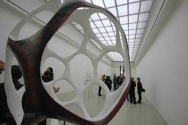 D_11_IMG_9420.JPG