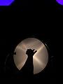 D-J5905-IMG_0216-5a