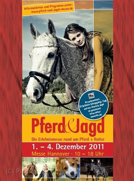 A_Pferd_Jagd.jpg
