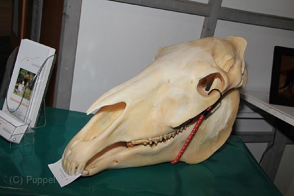 IMGB0091.JPG