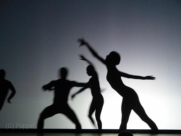 P1190383.JPG