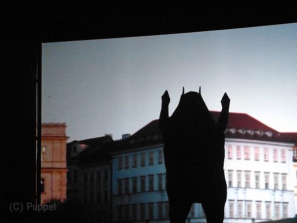 P1210359.JPG