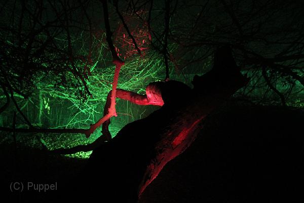 D-L8055-IMG_1361-5.JPG