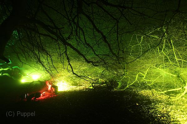 D-L8365-IMG_1608-5.JPG