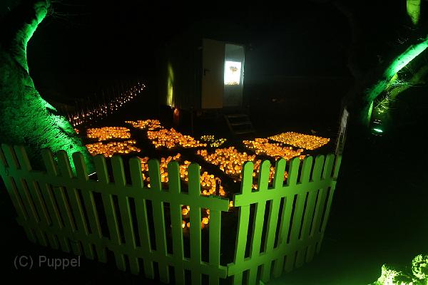 D-L8504-IMG_1701-5.JPG