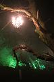 D-L8005-IMG_1311-5