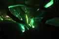 D-L8015-IMG_1321-5