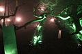 D-L8018-IMG_1324-5