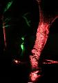 D-L8080-IMG_1386-5a