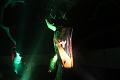 D-L8123-IMG_1429-5