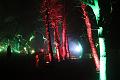 D-L8129-IMG_1435-5