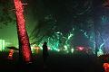 D-L8133-IMG_1439-5