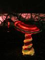 D-L8169-IMG_1475-5a