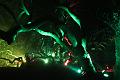 D-L8175-IMG_1481-5