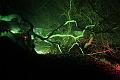 D-L8196-IMG_1502-5