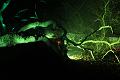 D-L8200-IMG_1506-5