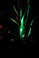 D-L8225-IMG_1531-5
