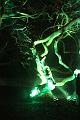 D-L8230-IMG_1536-5