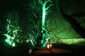 D-L8289-IMG_1569-5