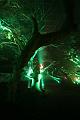 D-L8313-IMG_1580-5