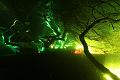 D-L8331-IMG_1598-5