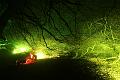 D-L8365-IMG_1608-5