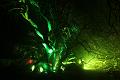 D-L8372-IMG_1615-5
