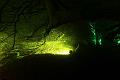 D-L8412-IMG_1631-5
