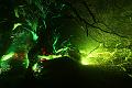 D-L8413-IMG_1632-5