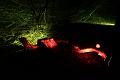D-L8469-IMG_1672-5