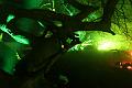D-L8478-IMG_1681-5