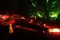 D-L8488-IMG_1688-5
