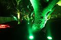 D-L8542-IMG_1733-5