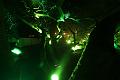 D-L8552-IMG_1743-5