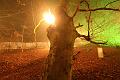D-L8592-IMG_1776-5