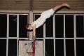 D-L9154-IMG_1859-5