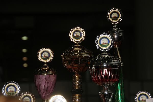 D-M4036-IMG_3603-5.JPG