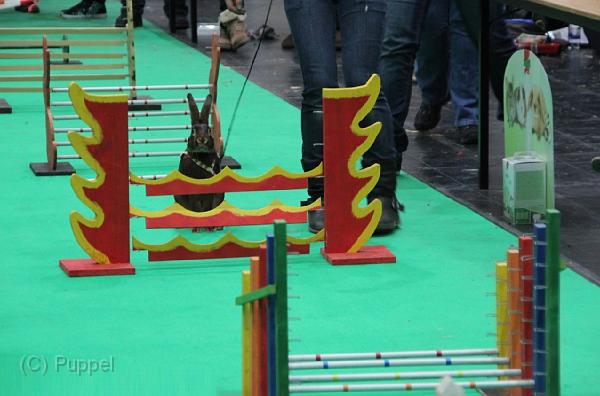 D-M4054-IMG_3610-5a.jpg