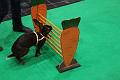 D-M4078-IMG_3634-5