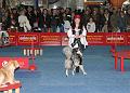 D-M4319-IMG_3788-5a